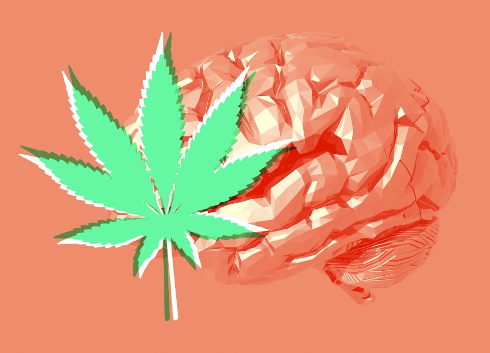 Human brain and cannabis leaf, illustration.